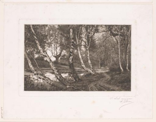 Landscape with birches along a bank
