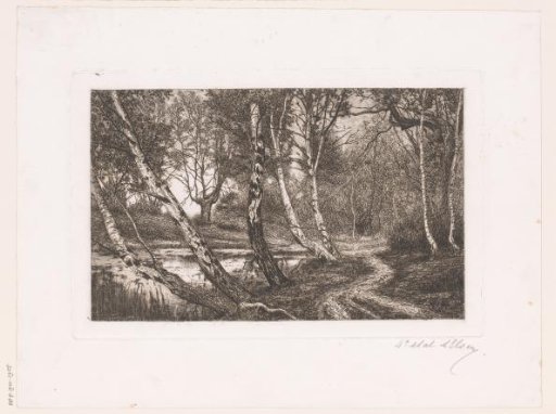 Landscape with birches along a bank