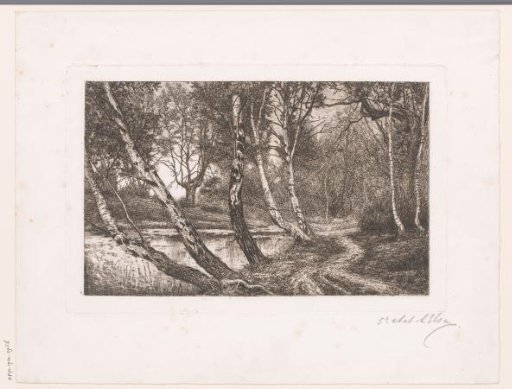 Landscape with birches along a bank