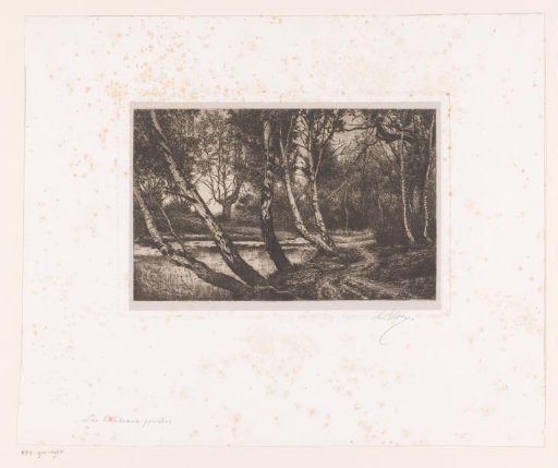 Landscape with birches along a bank