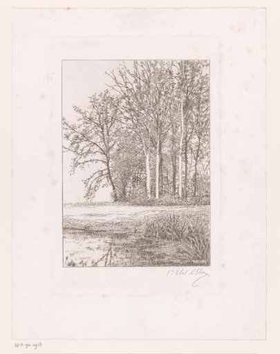 Landscape with water and trees