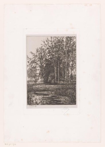 Landscape with water and trees