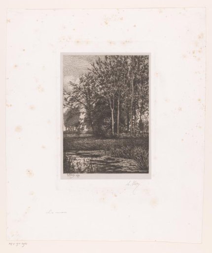 Landscape with water and trees