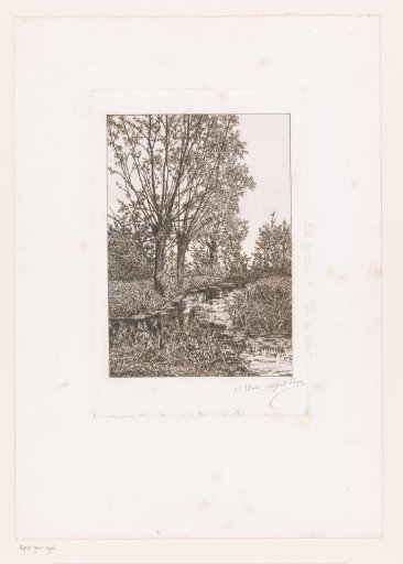 Landscape with three willows along the water