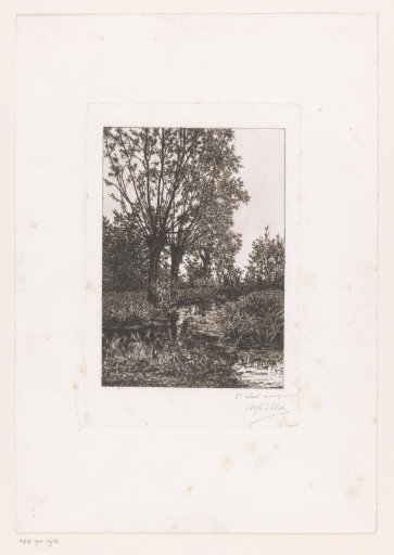 Landscape with three willows along the water