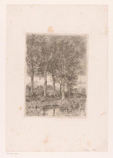 Trees by the water with buildings in the background