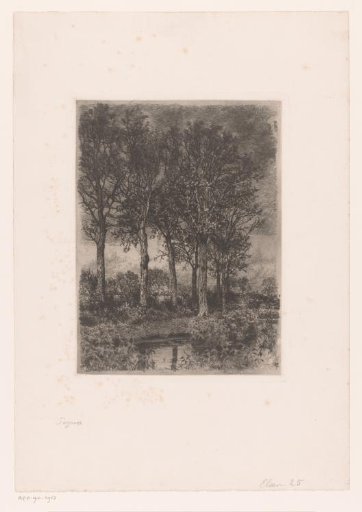 Trees by the water with buildings in the background