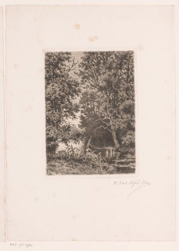 Woodland around a lake