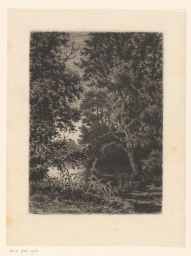 Woodland around a lake