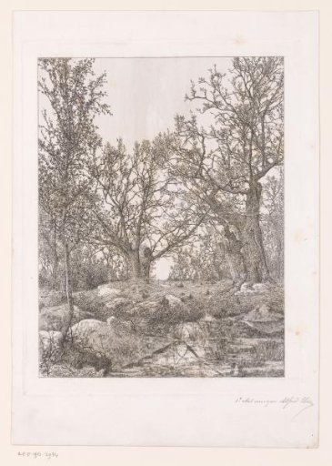 Marsh landscape with trees