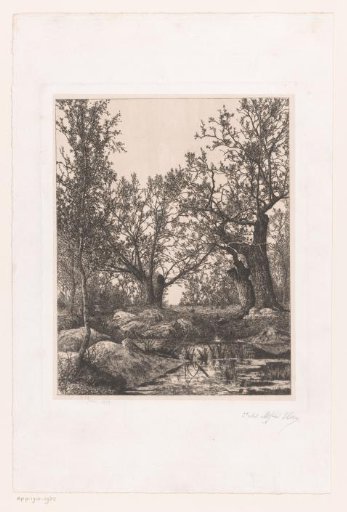 Landscape with trees and marsh