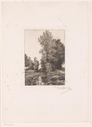 Landscape with a stream in the foreground