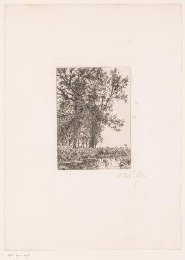 Landscape with trees by the water