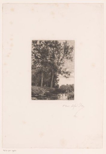 Landscape with trees by the water
