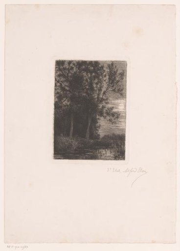 Landscape with trees by the water in moonlight
