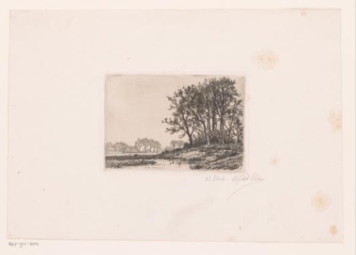 Landscape with trees on a hill by the water