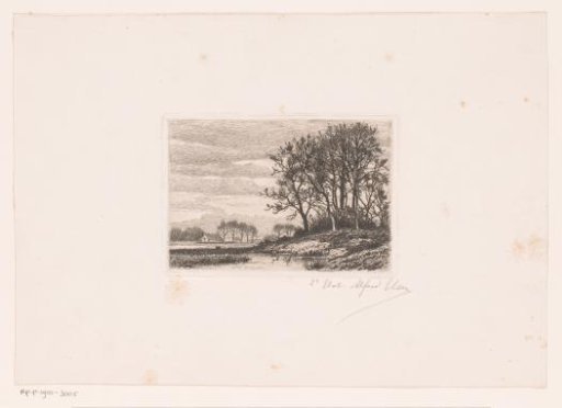Landscape with trees on a hill by the water