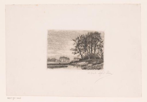 Landscape with trees on a hill by the water