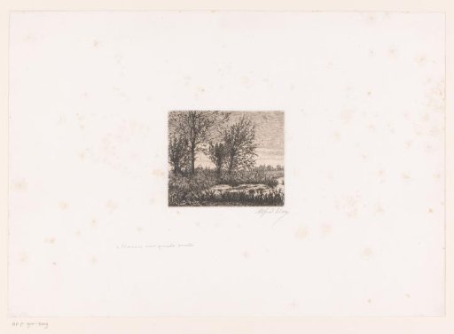 Landscape with four willows by the water