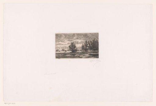 Marsh landscape