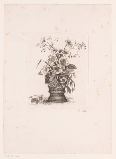 Flowers in a vase