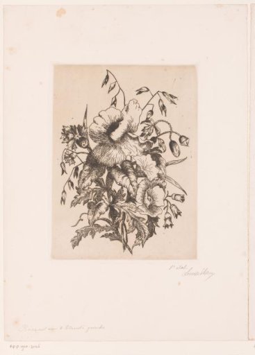 Flower still life with poppies