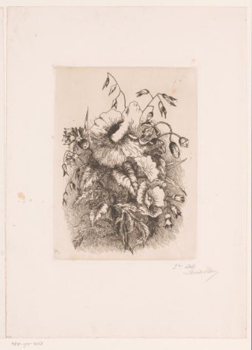 Flower still life with poppies