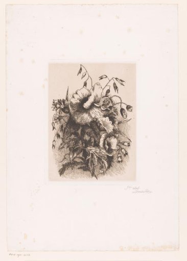 Flower still life with poppies