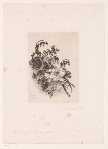 Flower still life