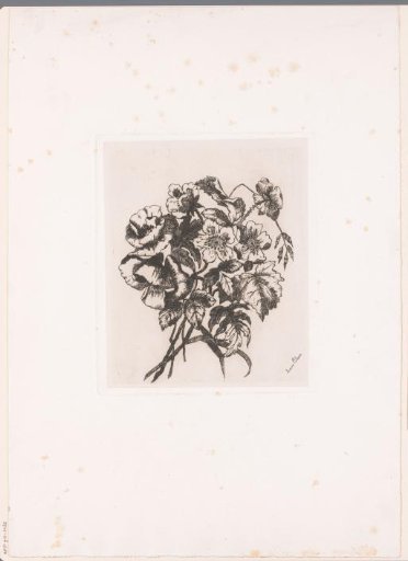 Flower still life with poppies and anemones