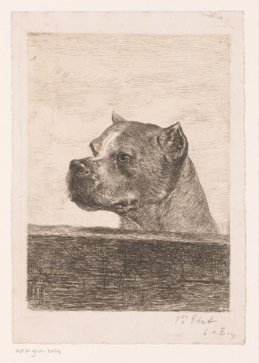 Head of a dog behind a wooden beam