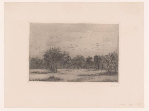 Wooded landscape with a tower
