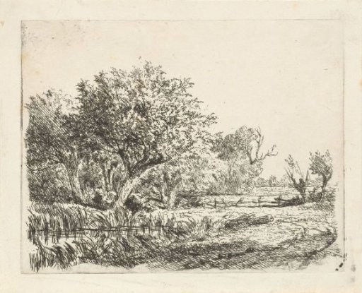 Willows by a pond