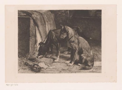 Two dogs near a rat trap