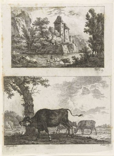 Landscape and bull