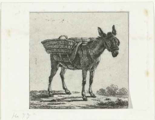Saddled donkey with blinkers