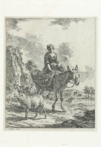 Shepherdess sitting on a donkey amidst a flock