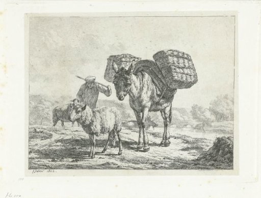 Man with two sheep and a pack donkey