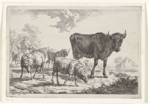 Shepherd with a flock