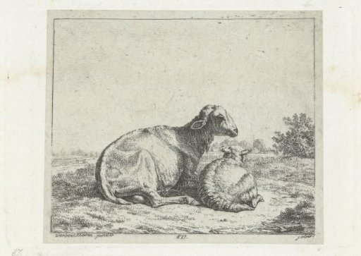 Lying sheep with lamb