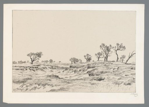 Sand dunes in Drenthe