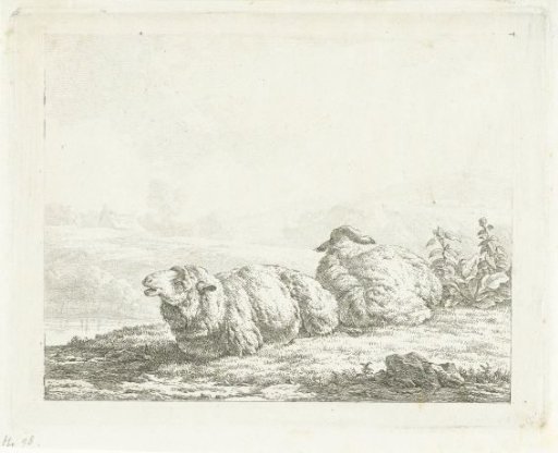 Two lying sheep