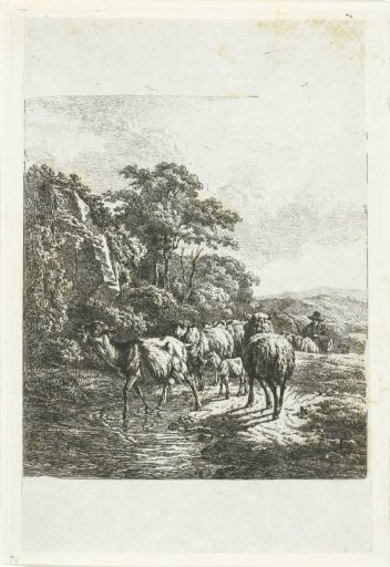 Flock of sheep and goats by a pool