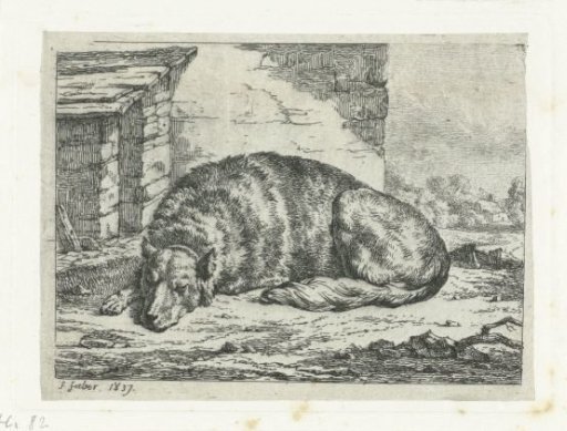 Sleeping dog