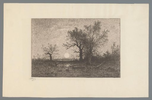 Trees in a landscape with a rising moon