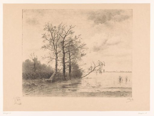 Oaks and birches by a pool