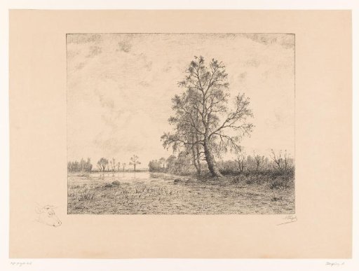 View of a pool surrounded by trees