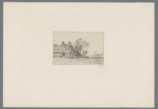 Farmhouses in Drouwen