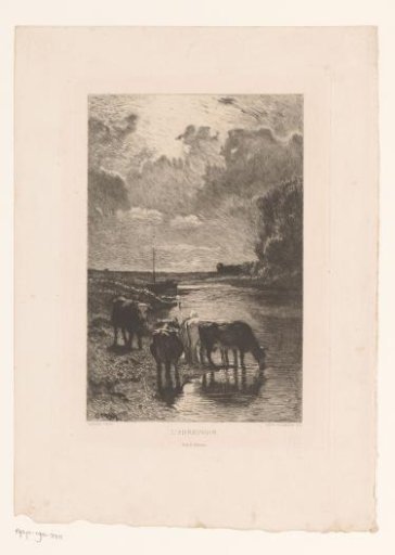 Cows at a watering place on the bank of a river