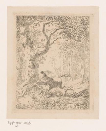 Woman on horseback in a wood